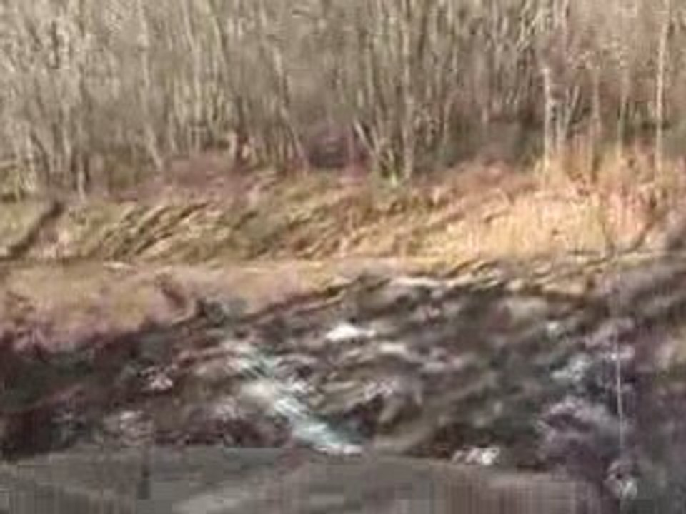 Retour sur le chemin