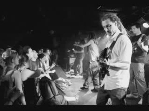 Danakil - Les champs de Roses