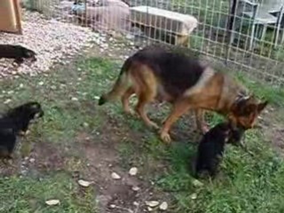 Dans le jardin