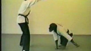 Banned Commercials- Real Monkey Doing Kung Fu