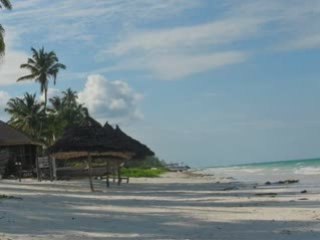 Meilleurs voeux 2009