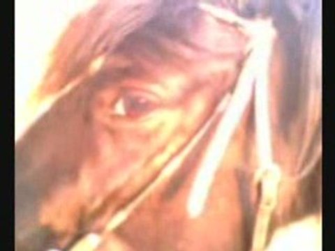 Galop embarqué balade