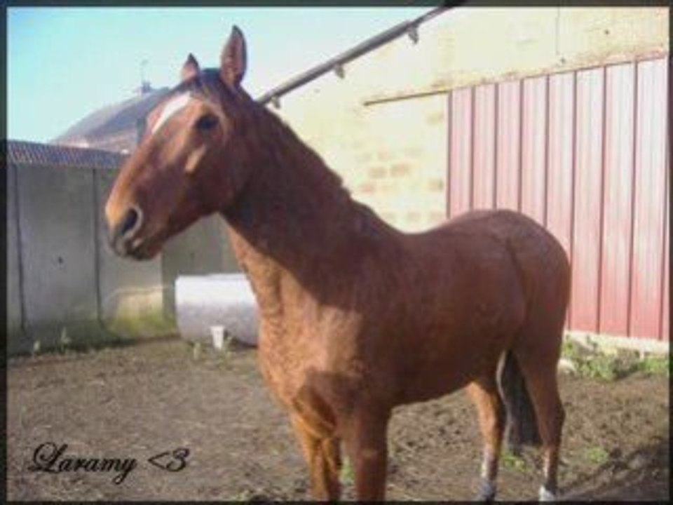 Carmel et Laramy