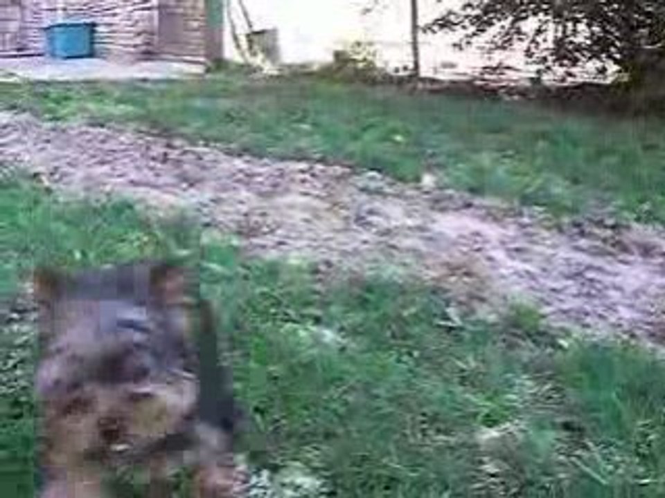 DRYSS 4