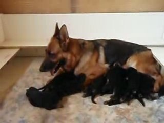 c'est ma place! c'est ma place poussez-vous!