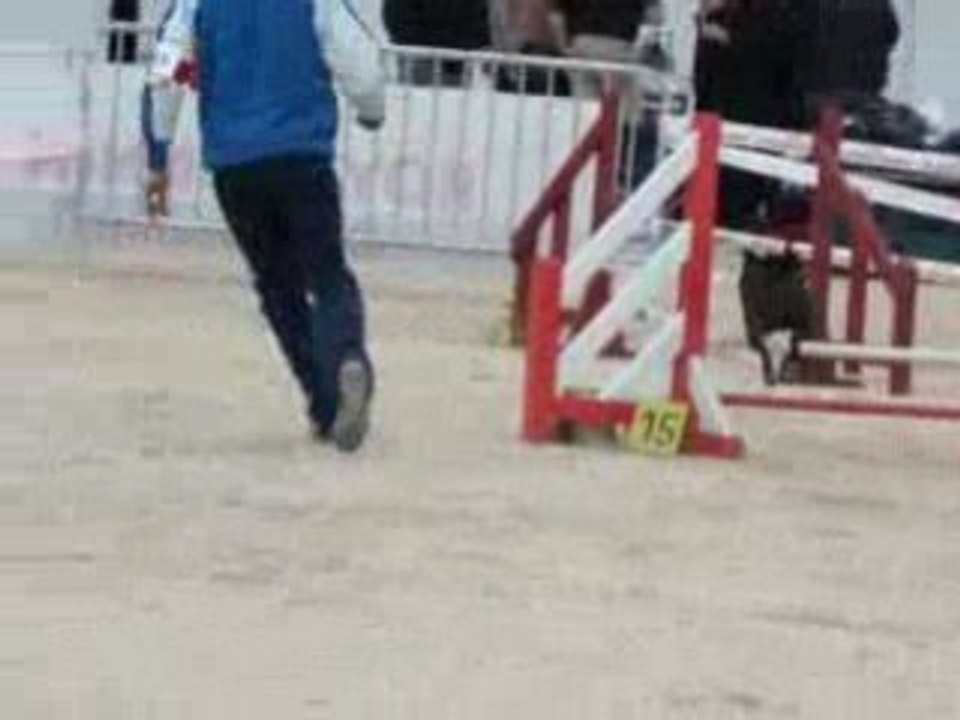 Asian gpf