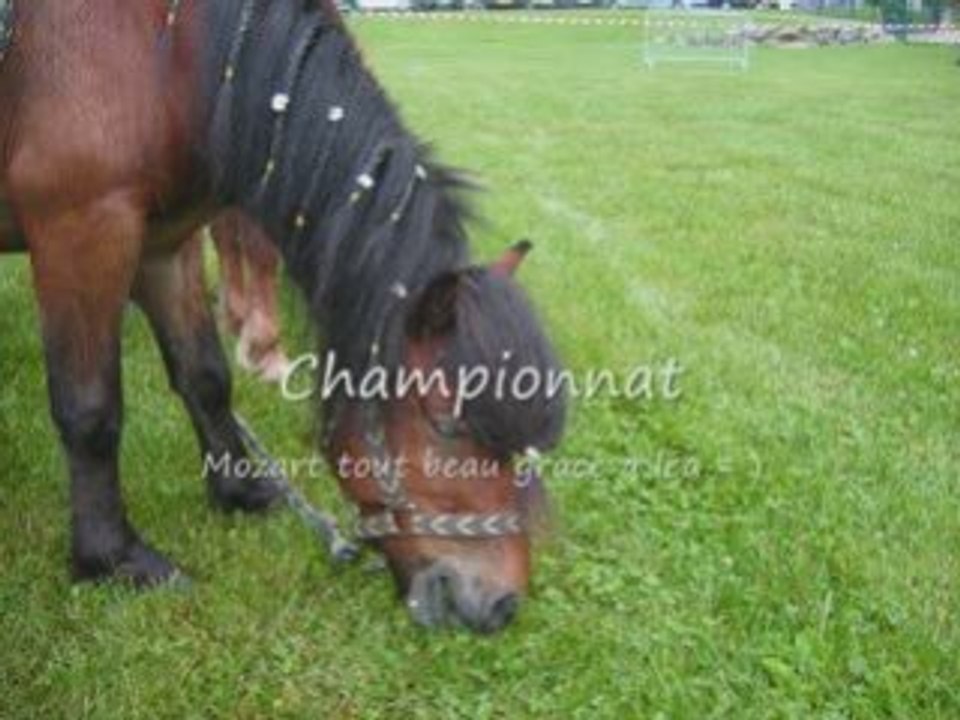 Attelage mozart_0001