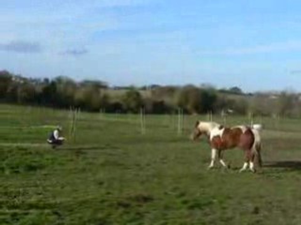 Reve Ideal vient au trot - Decembre 2008