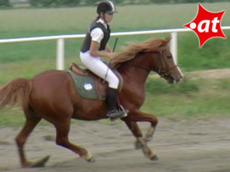 Corina Gallei, Springreiten, Kottingbrunn (2008-061)