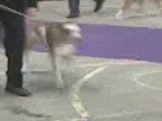 La Roche sur Foron 3