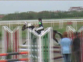 Carla Burger, Springreiten, Kottingbrunn (2008-062)