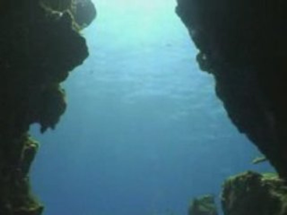 Plongée en Guadeloupe