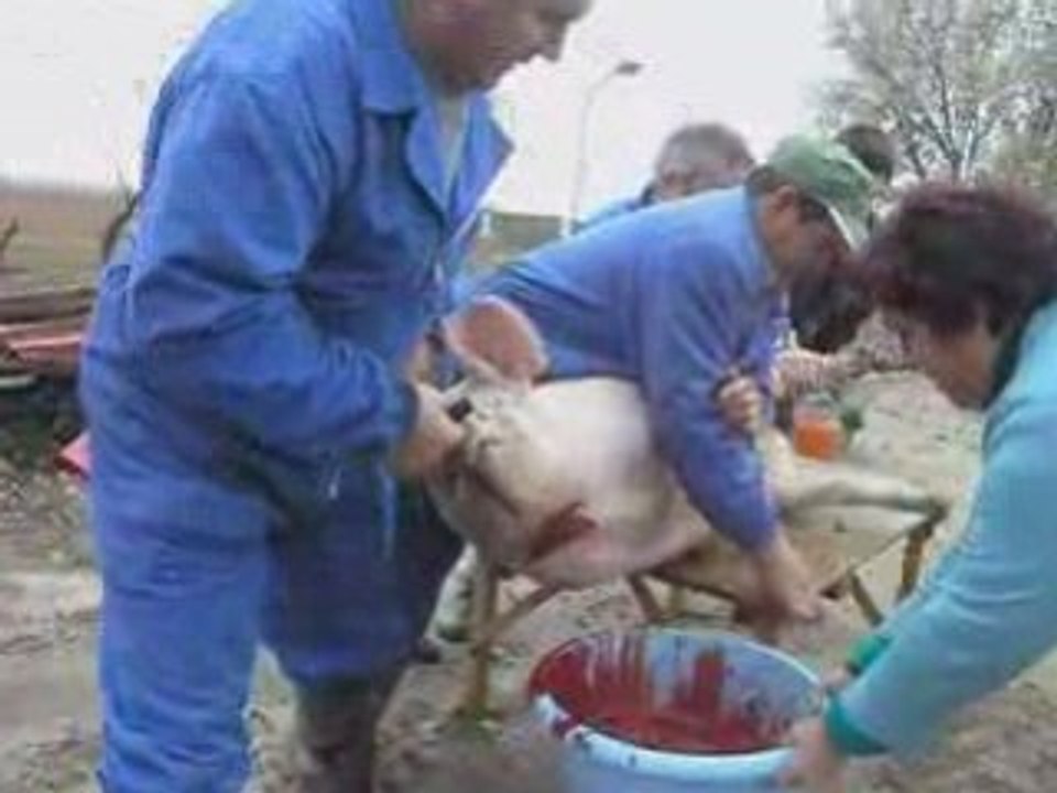 Matanza del Gorrino