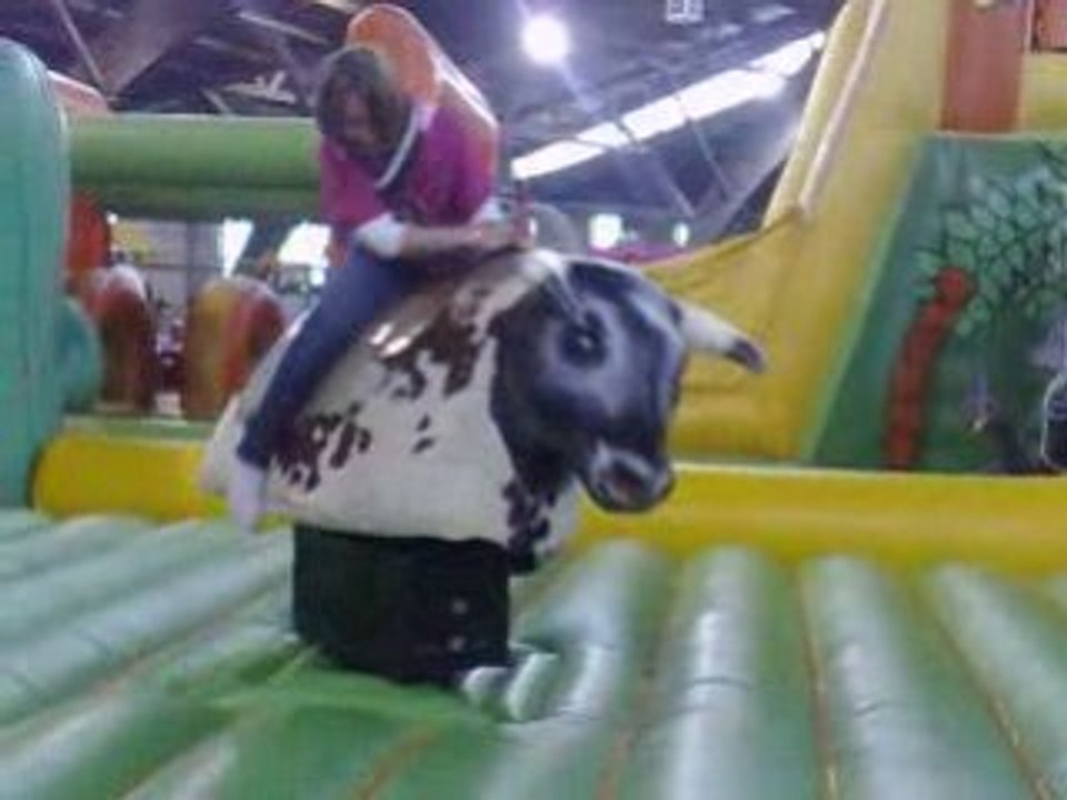 Loisir Land à Poitiers - le 28.12.08 D