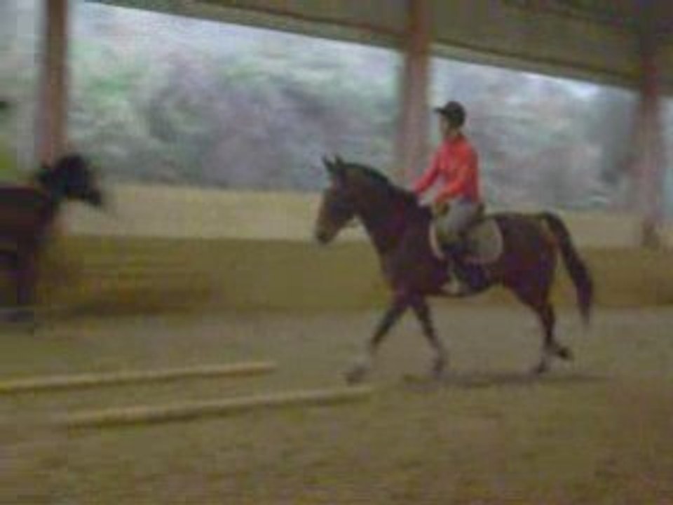 Stage décembre 2oo8