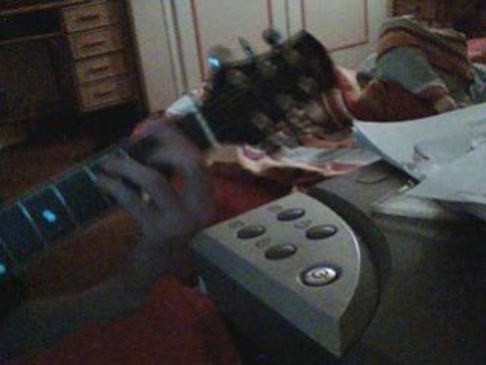 De palmas  - Une seule vie (cover lesson)