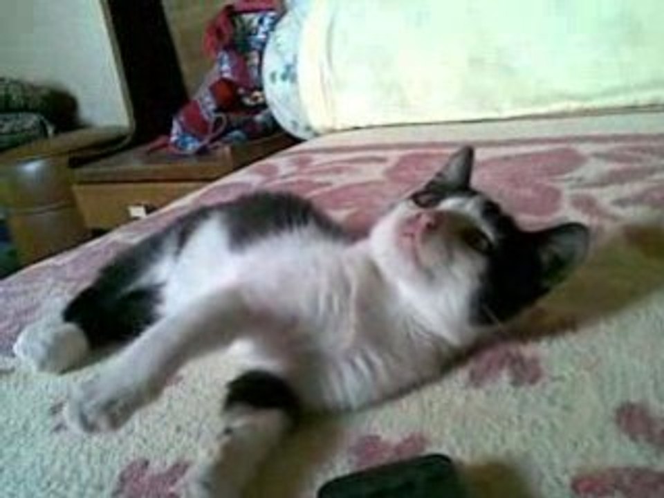 Ktita