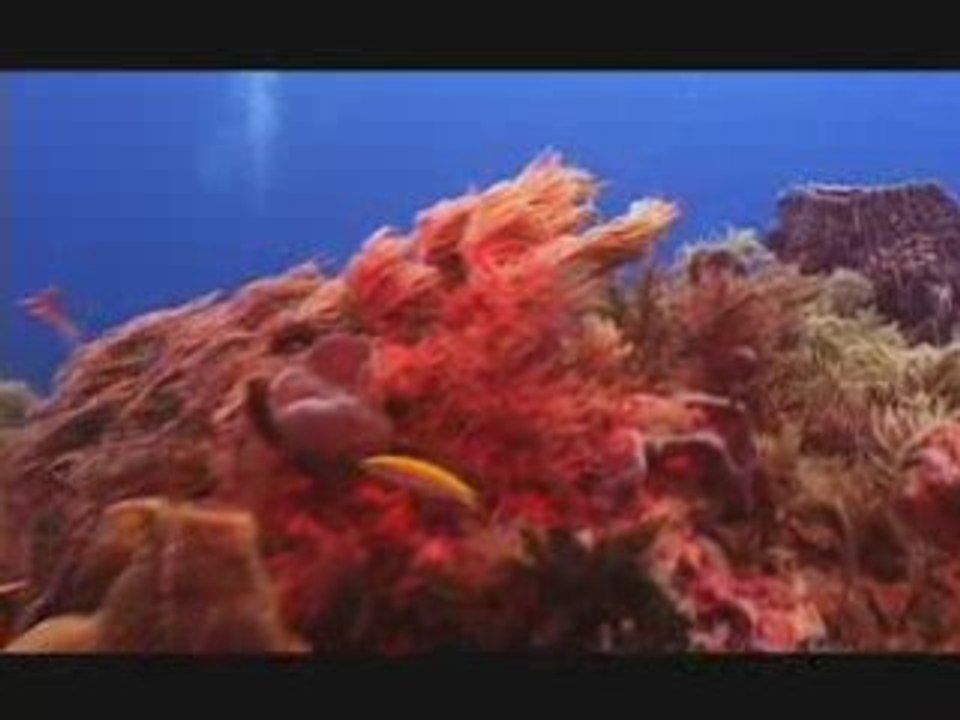 Organic Personal Care Products: Alternatives to Toxic ...