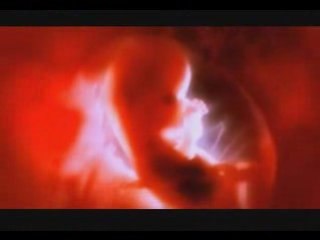 Moonspell: Finisterra