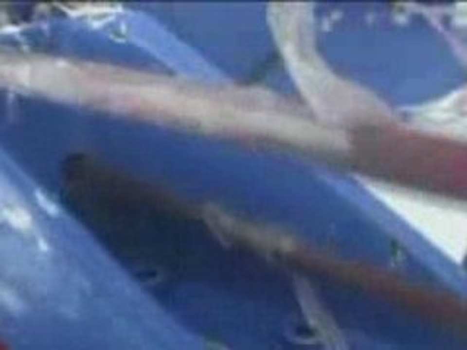 La folle semaine de Jean-Pierre Dick dans le Vendée Globe