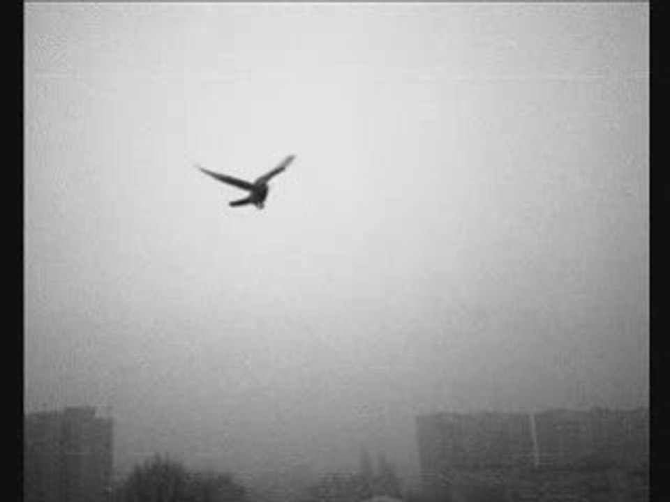 Huseyin Bitmez - Her Daim