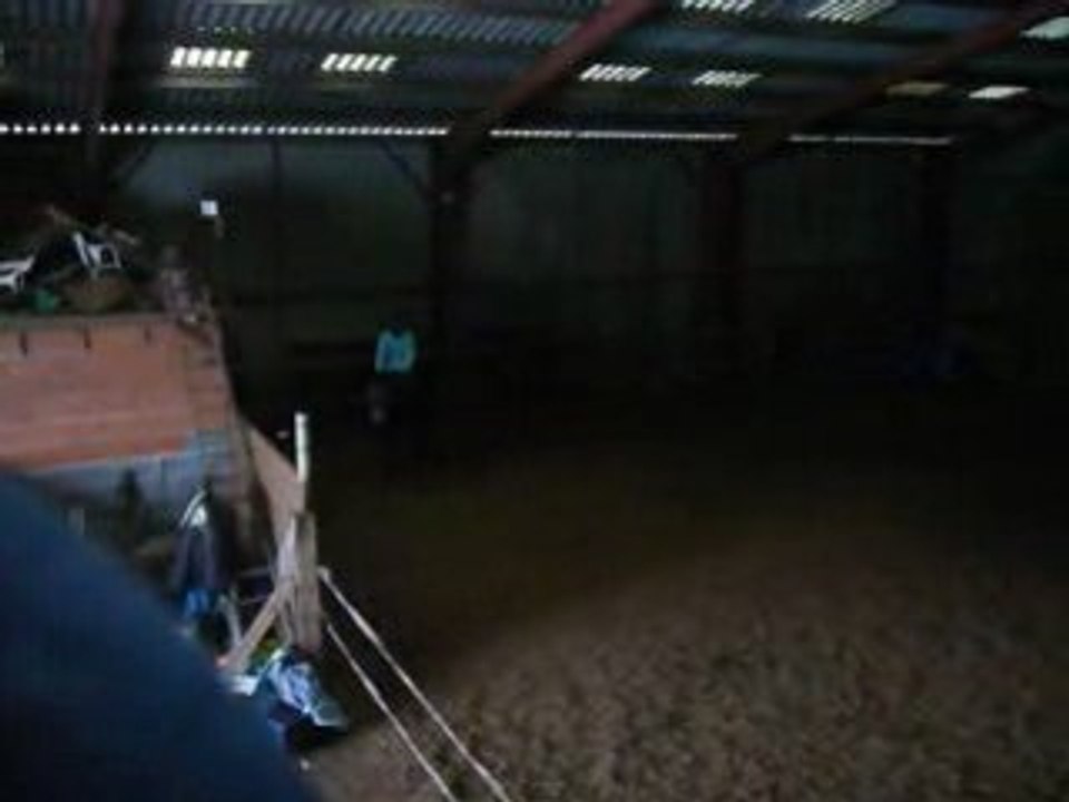 Quelques déplacements latéraux en licol