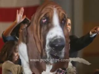 Obama Dog Auditions Dean Loud Screamer