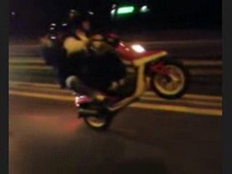 Lève a deux de JOE sur de L'algerino Weeling