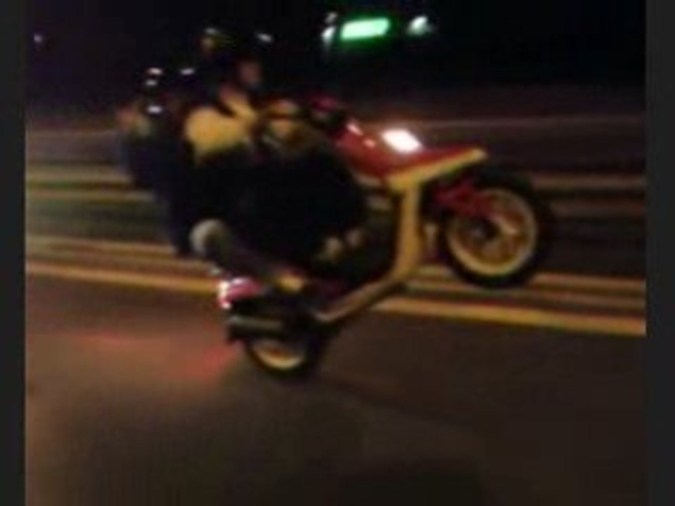 Lève a deux de JOE sur de L'algerino Weeling