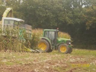 ensilage maïs 2008 best of