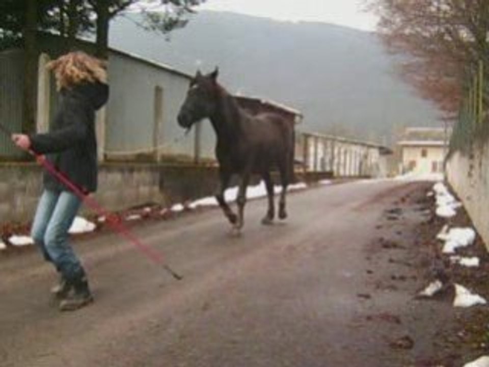 Année 2008