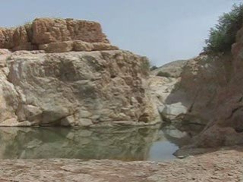 Benzouh, ouled sidi brahim près de eddiss
