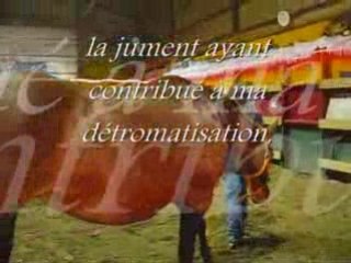 Les Apprentis Cows Boys