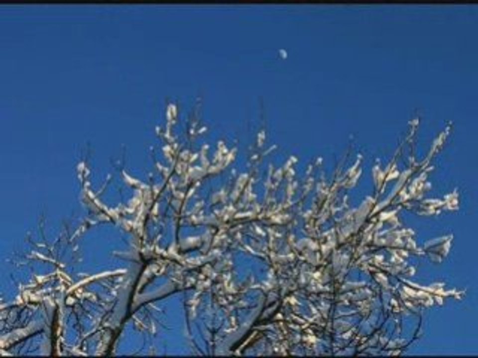 Super 5 GT TURBO: Raphy