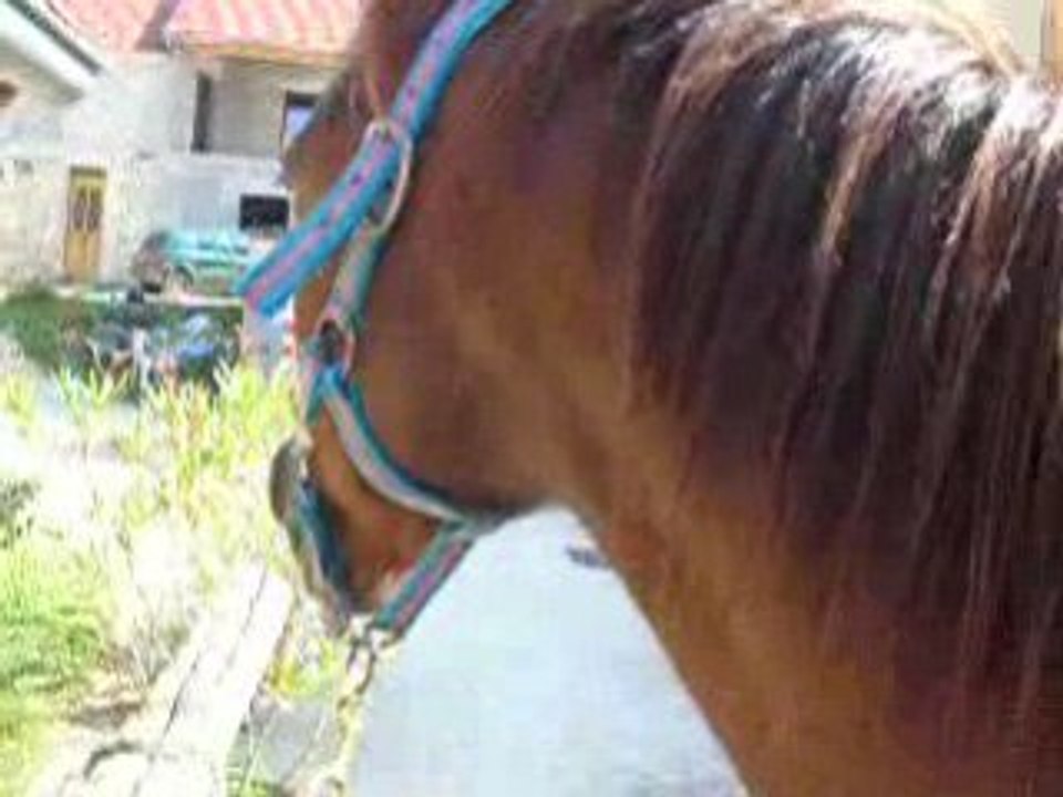 Moi doc de First