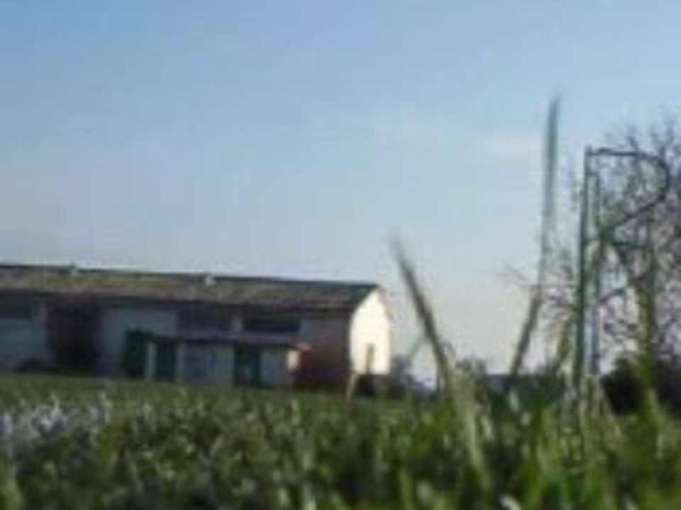 mackel foot