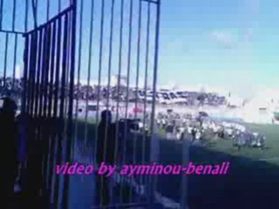 les ultra verde leone avent mca-mcs