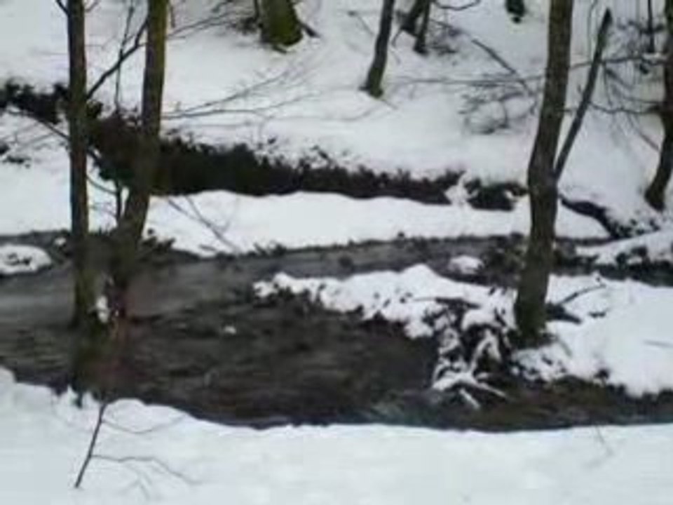 La Bourboule: Ruisseau des Vernières
