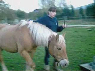 Bilan  de notre travail en 2008