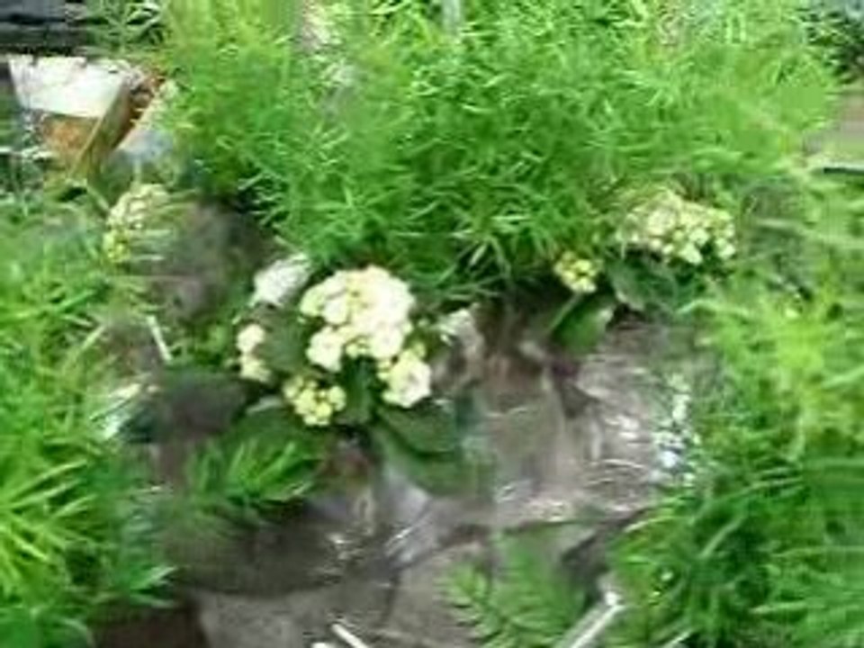 Silvester decorations