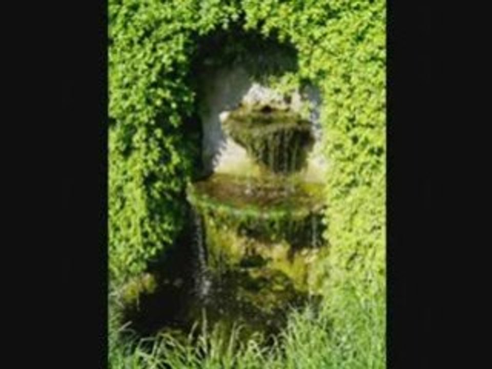 Svartsot--gravollet
