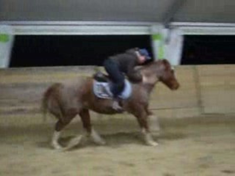 Arroyo 2
