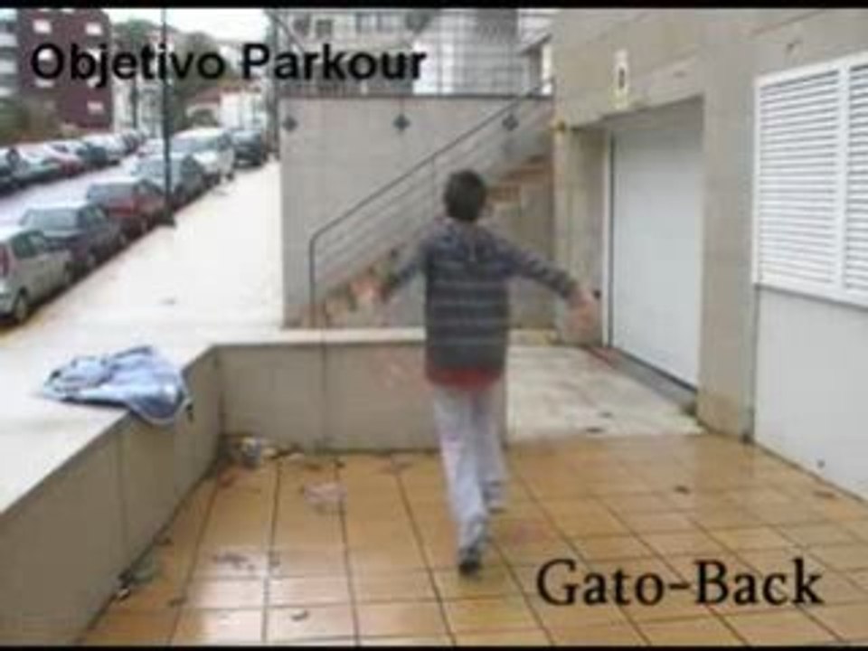 Gato