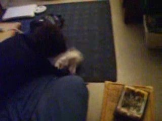 titus le chat fou :the battle