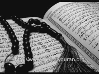 Surat Al-Mulk Recited by Cheikh Adel Alkalbany