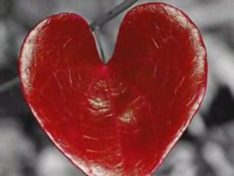 Evanescence - Sweet Sacrifice