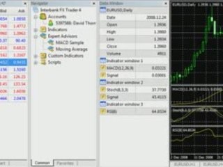 Stop Losing Money to Forex Scams