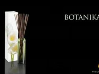 Dayna Decke Fragrance Diffuser