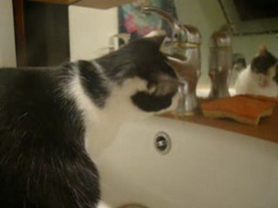 Max la menace - Episode 2