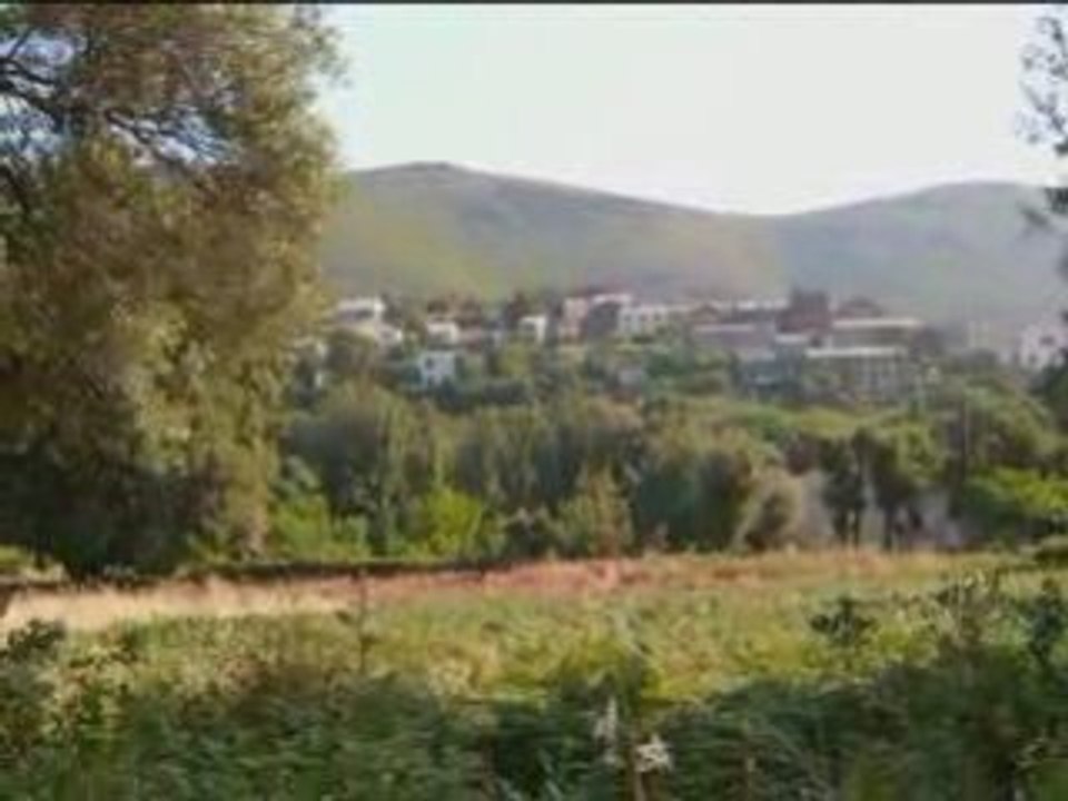 Siscu